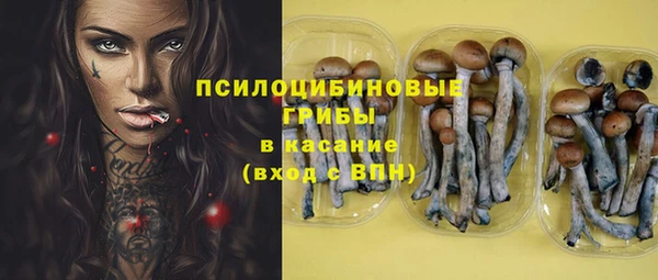 гидропоника Баксан