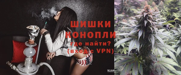 apvp Балахна