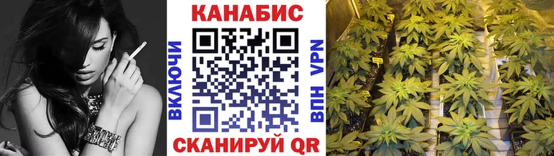 Шишки марихуана конопля  продажа наркотиков  Ленск 